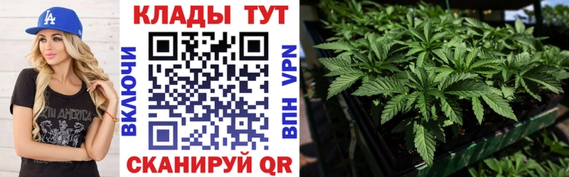 Названия наркотиков Кизляр Конопля  Меф мяу мяу  Cocaine  Амфетамин  Гашиш 