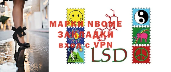 прущие грибы Инта