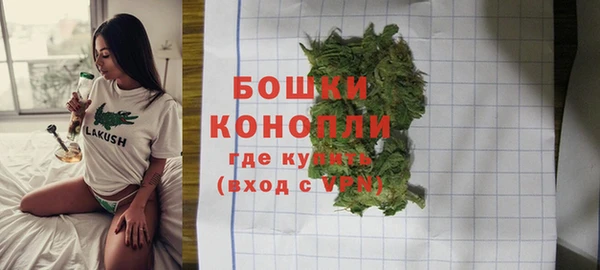 дмт Каменногорск
