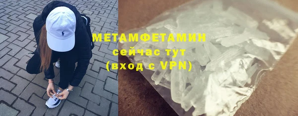 прущие грибы Каменск-Шахтинский