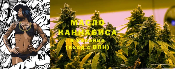 дмт Каменногорск