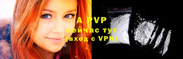 прущие грибы Каменск-Шахтинский