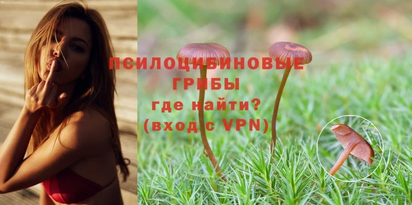 дмт Каменногорск