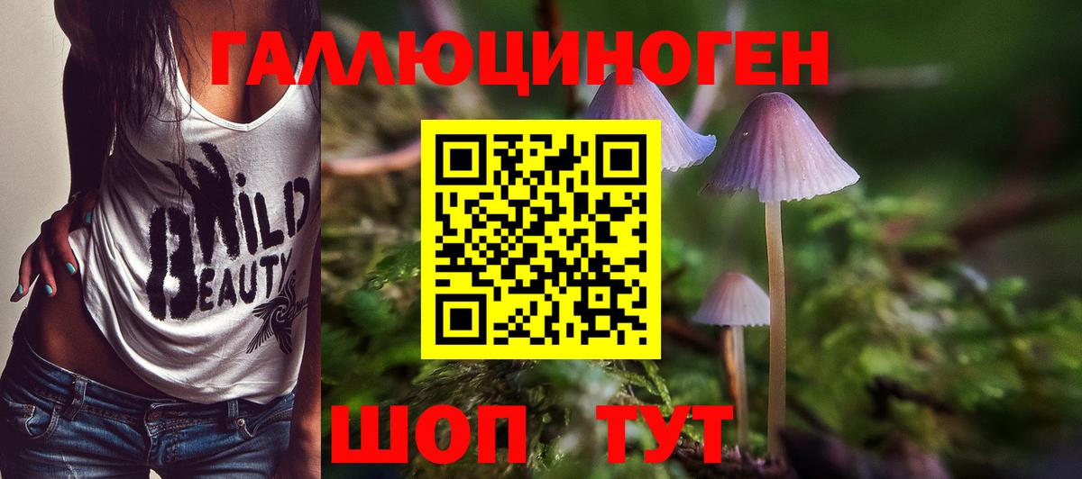 Кизляр  Псилоцибиновые грибы GOLDEN TEACHER  Галлюциногенные грибы прущие грибы  Вход с VPN 