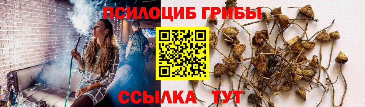 Галлюциногенные грибы MAGIC MUSHROOMS Кизляр